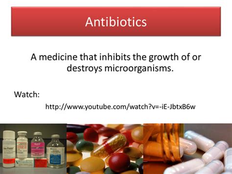 Antibiotics Ppt Teaching Resources