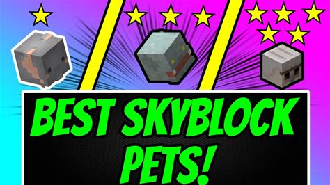 Hypixel Skyblock Guide What Pet Should You Craft V2 Pets Tier List