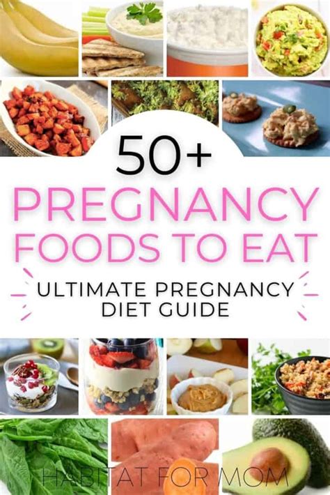 50 best pregnancy foods to eat ultimate pregnancy diet guide habitat for mom