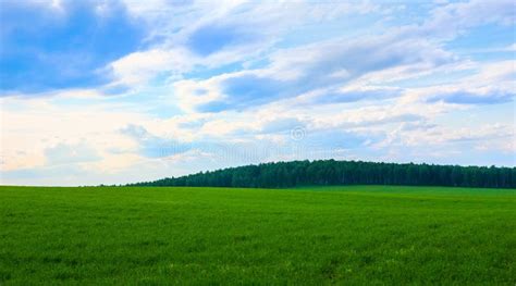 Beautiful Summer Landscape Stock Image Image Of Cloud 95697509