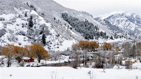 Download Beautiful Winter Scenery Wallpaper 1920x1080