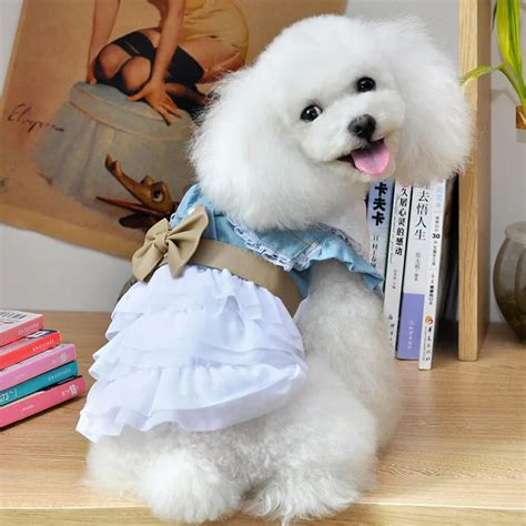 Pet Puppy Denim Skirt Cute Dog Costume Puppy Dog Clothes Sweet Lace