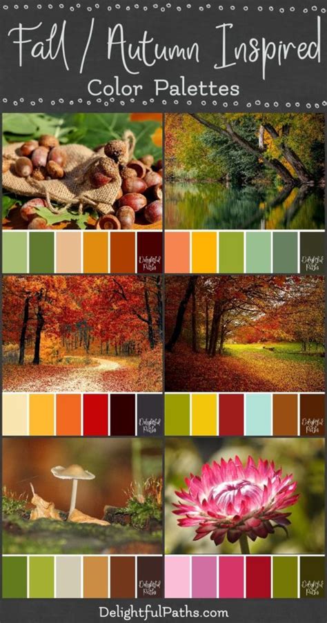 Fall Autumn Inspired Color Palettes Delightful Paths