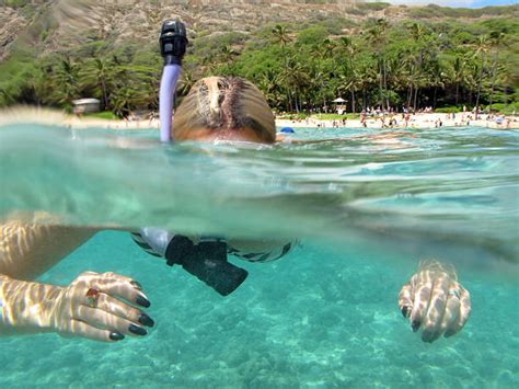 310 Snorkel Hanauma Bay Stock Photos Pictures And Royalty Free Images