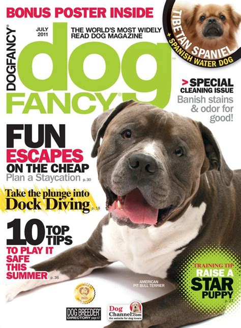 The Truth About Pit Bulls Dog Fancy Magazine