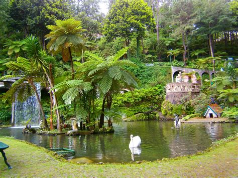 Address, jardim do torel reviews: Madeira: Jardim Tropical Monte Palace.