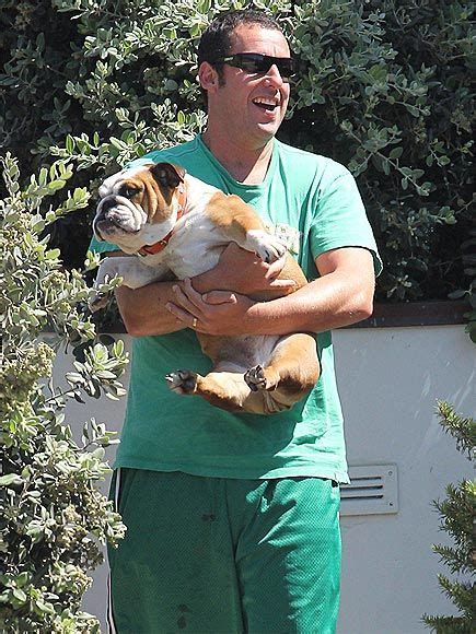 Ralph waldo emerson → ruth haskins → hannah upham → hannah waite → lydia sargent → lydia chipman → hope howland → elizabeth tilley (an entirely female line. ADAM SANDLER AND HIS BULLDOG | Celebrity dogs, Dog people ...
