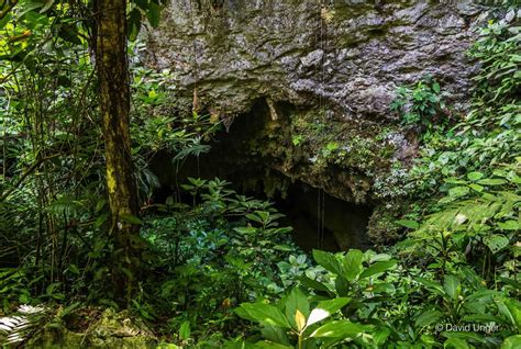 Belize Cave And Jungle Tours Hamanasi Adventure Resort