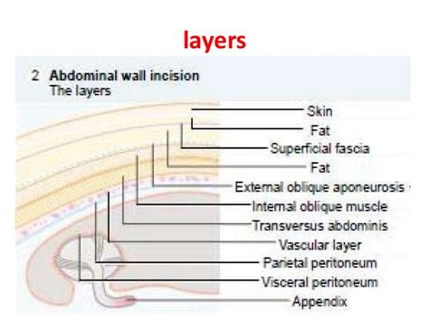 The term incision originates from the latin (in + cidere → incisio). Acute appendicitis