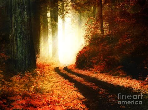 The Enchanted Autumn Forest Photograph By Lee Anne Rafferty Evans