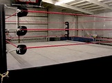 PROLAST® Professional Wrestling Ring - PROLAST