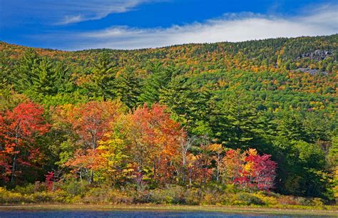 Get Nearer To Nature Squam Lakes Natural Science Center