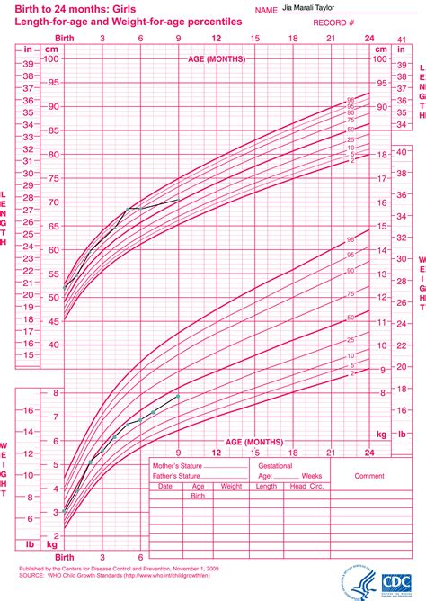 Little Sproutings Your Childs Growth Charts Explained