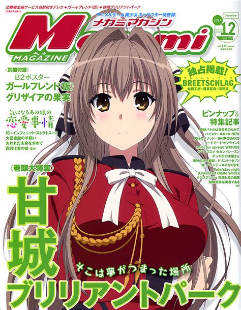 Buy Magazine Megami Magazine 2014 Vol 12 December