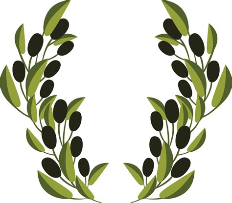 Olive Branch Olive Leaf Clip Art Png X Px Olive My Xxx Hot Girl