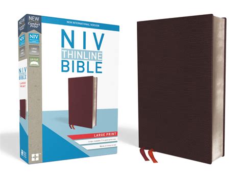 NIV, Thinline Bible, Large Print, Bonded Leather, Burgundy, Indexed