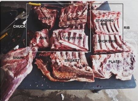 Cuts in the beef chuck category originate from the 'chuck primal', in the neck and shoulder area. What is the difference between beef ribs and beef 'riblets ...