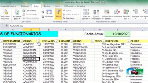 Ejemplos De Bases De Datos En Excel Para Ejercicios Opciones De Ejemplo