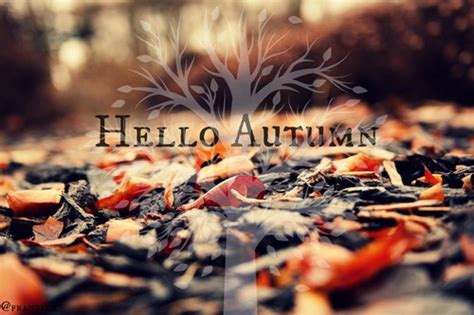 Hello Autumn On Tumblr