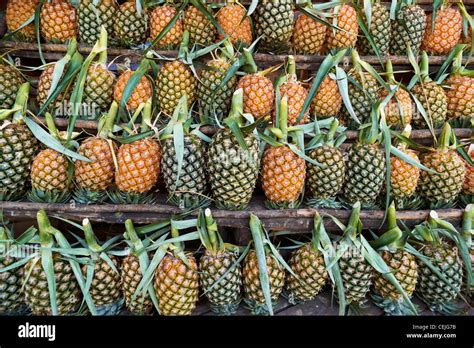 Thailand Tropical Asian Pineapple Fruits In The Street Stall Stock