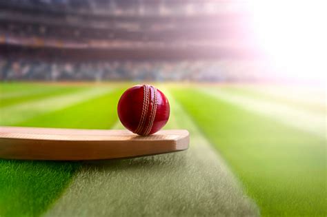 100 Cricket Wallpaperss Hd Download Free Images And Stock Photos On