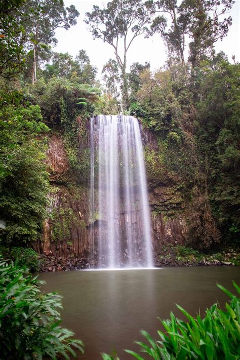 Best Waterfalls Near Cairns 17 Waterfalls You Have To See ⋆ We Dream