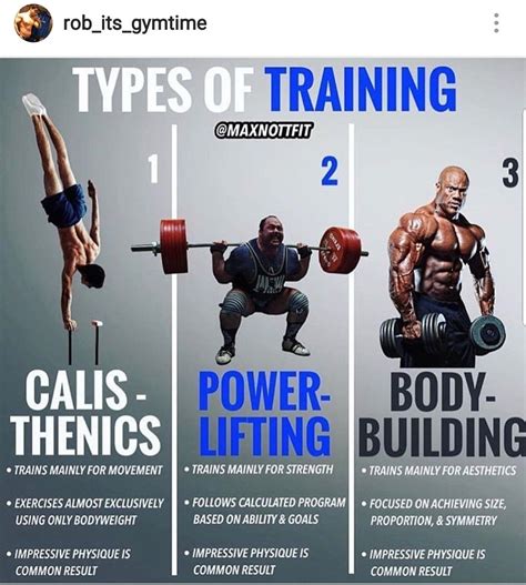 Types Of Training Strength Training Types Of Muscles Muscle Training