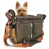 Pictures of Cool Dog Carriers