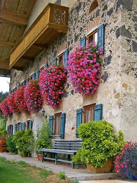 Plantar el balcón es algo que cada fan de la planta le da. Flores Colgantes. | Flores colgantes, Decoraciones de ...