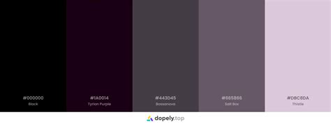 10 Black Color Palette Inspirations With Names And Hex Codes Inside Colors
