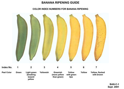 How To Determine A Ripe Banana Haul Produce