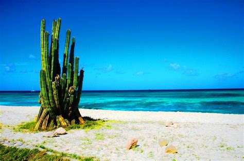 Travellers Guide To Aruba Wiki Travel Guide Travellerspoint