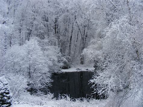 A True Winter Wonderland My Backyard In Winter Flickr