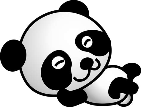 Panda Oso Dibujos Animados · Gráficos Vectoriales Gratis En Pixabay