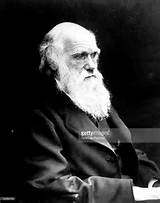 Theory Evolution Charles Darwin Images