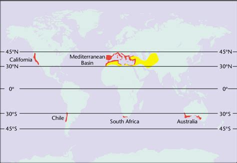 Map Of The Five Regions With Mediterranean Type Climate Red For The
