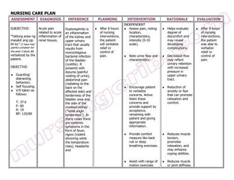 Nanda Nursing 7 Nanda Nursing Care Plan