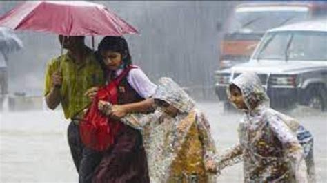 Telangana Schools Likely To Close Tomorrow Due To Heavy Rain Alert Get