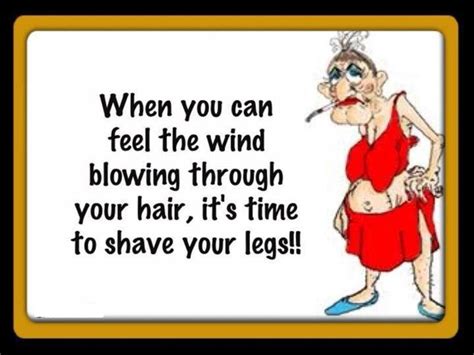 Its Windy Quotes Funny Quotesgram