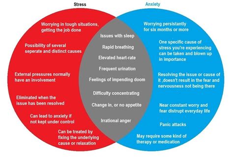 Mental differences between anxiety and depression. Stress and Anxiety: Train Your Mind To Overcome It To Stay ...