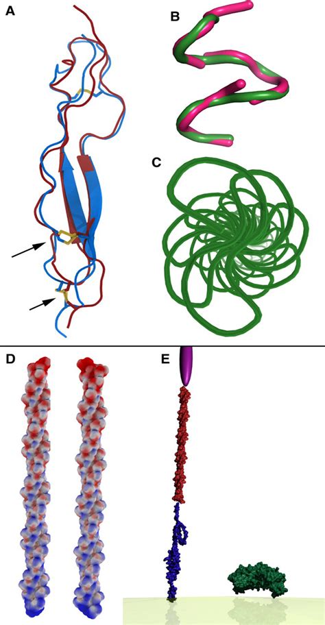 Structure Of The Plasmodium Falciparum Circumsporozoite Protein A