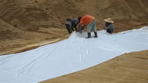 Non Woven Geotextile For Erosion Control At Rs 22square Meter
