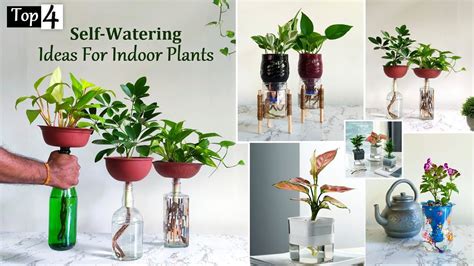 Top 4 Self Watering Ideas For Your Indoor Plants Automatic Watering