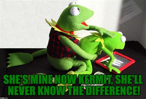 Funny Kermit Memes Dirty