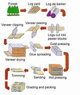 Plywood Manufacturing Process Pictures