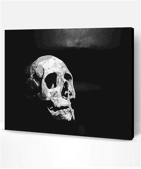 Black And White Skull New Paint By Numbers Paint By Numbers Pro