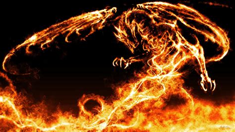 2560x1440 Resolution Fire Dragon Wallpaper Fire Dragon Fantasy Art