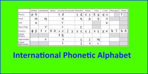 The main purpose of the phonetic alphabet is . Phonetics Symbols And Pronunciation : How Do I Type With Ipa ...