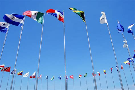 Latin America Flags Stock Photos Pictures And Royalty Free Images Istock