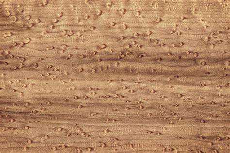 Birds Eye Pattern On Sugar Maple Wood Abstract In Nature Photograph By